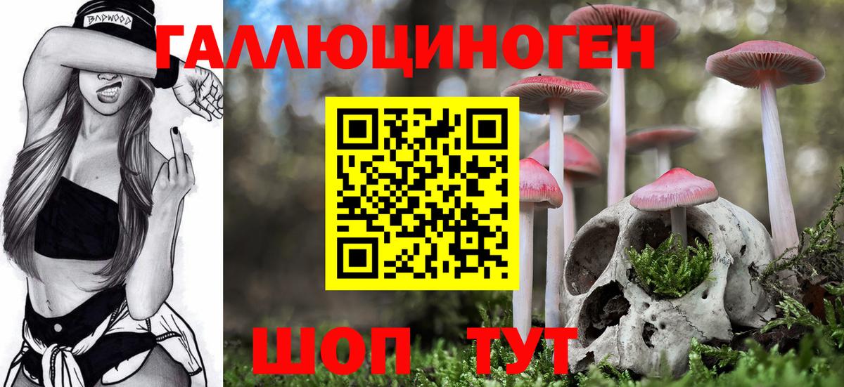 Псилоцибиновые грибы прущие грибы  наркошоп  Псилоцибиновые грибы Psilocybine cubensis  Красноармейск  Вход с VPN 